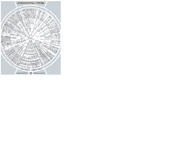 ARBRE GENEALOGIQUE INTEGRAL